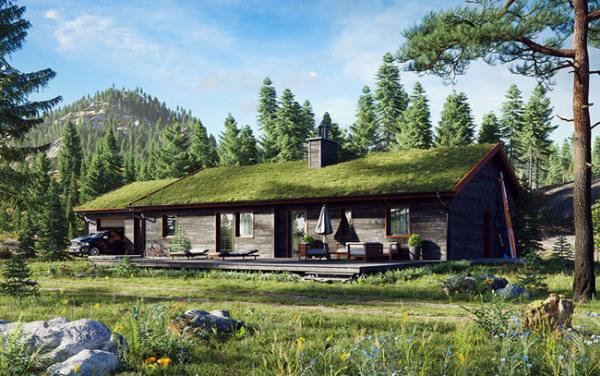 陈瑶本丨瑞典的小木屋