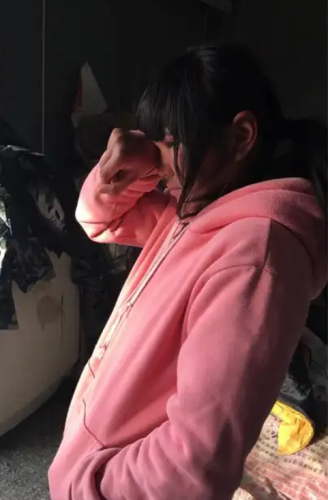李鸿春丨月儿
