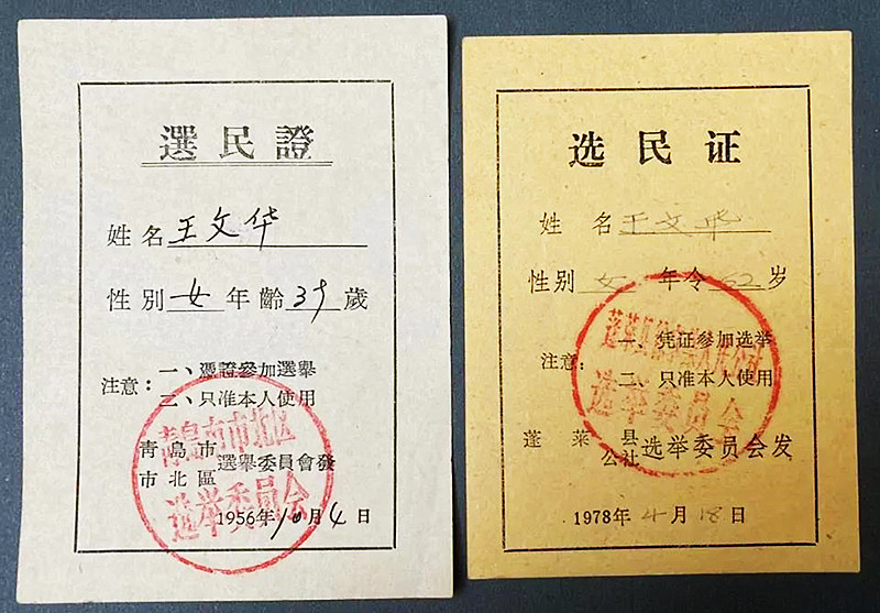 张勇丨青蓬两地的选民证