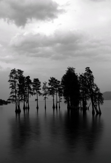 蚂蚱眼丨破碎的风景