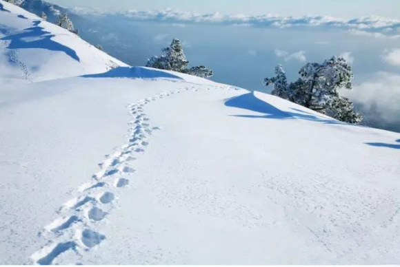 何美鸿丨雪印